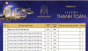 Phương thức thanh toán Moonlight Centre Point
