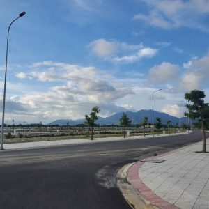 golden bay 602