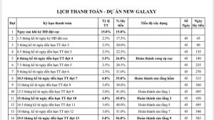 Tiến độ thanh toán chung cư New Galaxy Dĩ An Hưng Thịnh