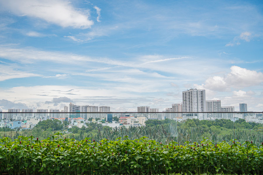 Hình ảnh Q7 Saigon Riverside hoàn thiện